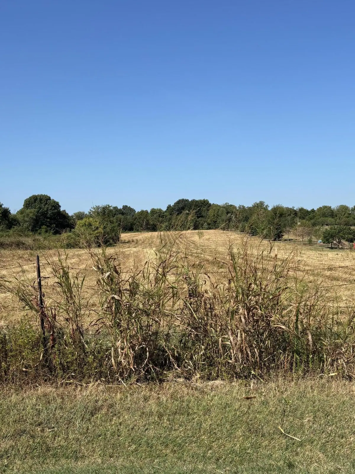 Address not disclosed, Bois D Arc, MO 65612