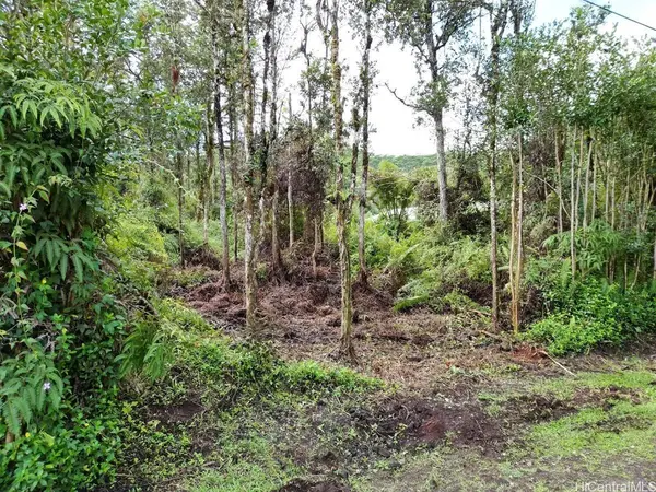 OAHU RD #1022, Pahoa, HI 96778