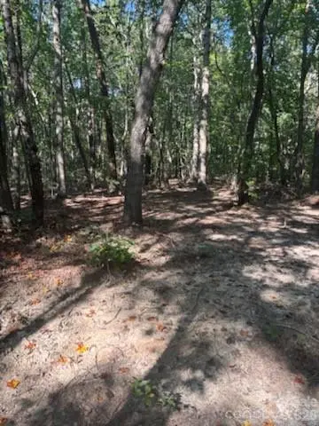 TBD Bud Arndt RD, Maiden, NC 28650