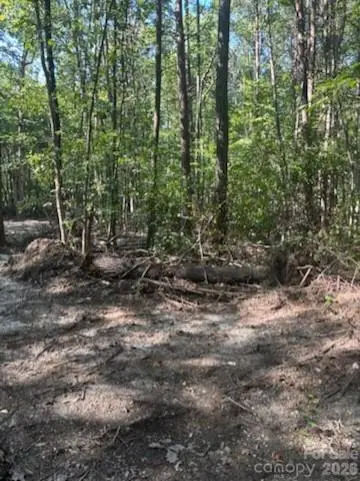 TBD Bud Arndt RD, Maiden, NC 28650