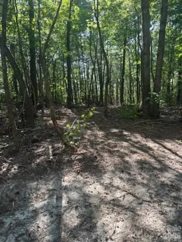 TBD Bud Arndt RD, Maiden, NC 28650