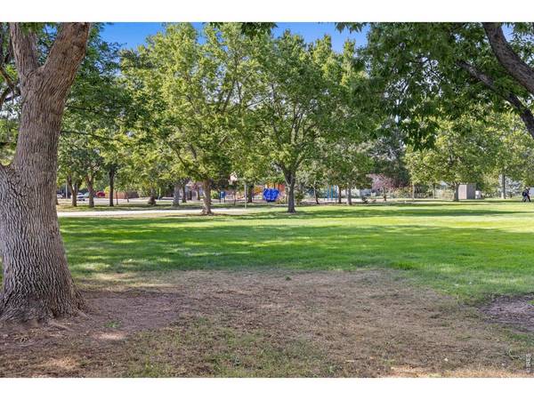 550 10th, Windsor, CO 80550