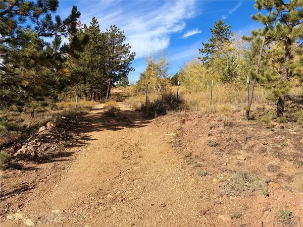 795 Russell Gulch, Central City, CO 80427