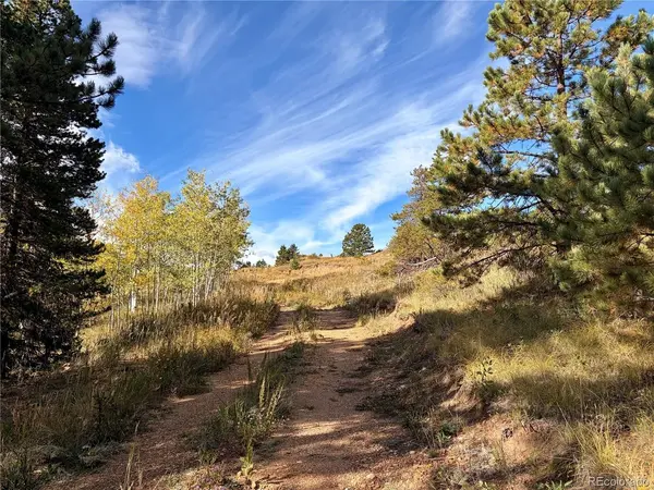 795 Russell Gulch, Central City, CO 80427