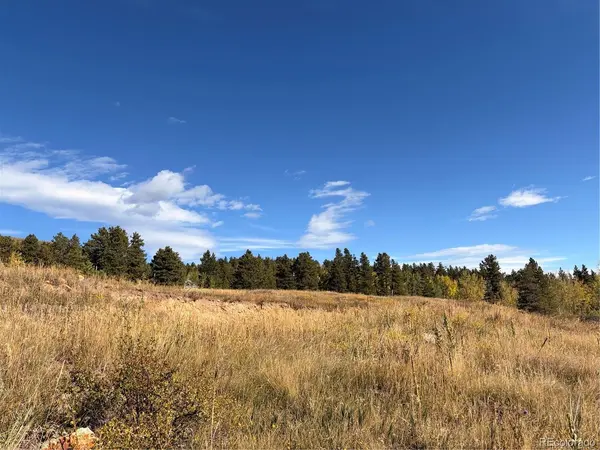 795 Russell Gulch, Central City, CO 80427