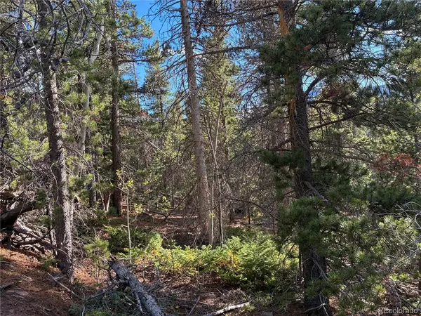 3189 Zipf, Fort Garland, CO 81133