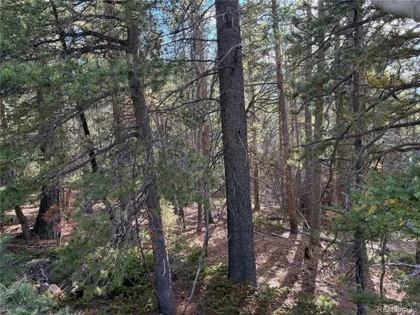 3189 Zipf, Fort Garland, CO 81133