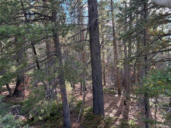 3189 Zipf, Fort Garland, CO 81133