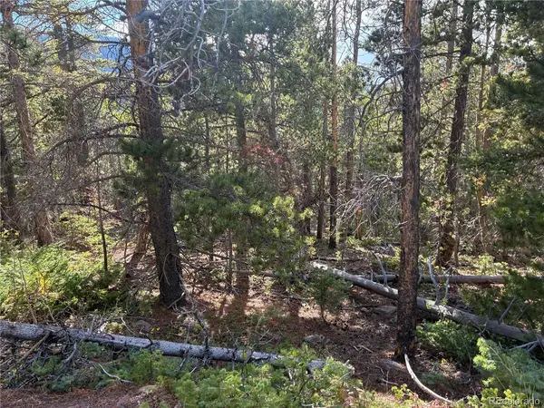 3189 Zipf, Fort Garland, CO 81133