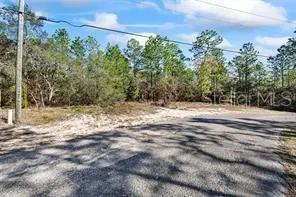 8941 N FARRINGTON DR, Citrus Springs, FL 34433