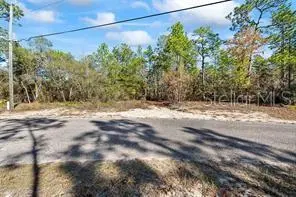 8941 N FARRINGTON DR, Citrus Springs, FL 34433