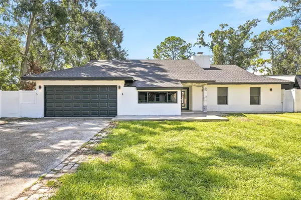 12726 BARRETT DR, Tampa, FL 33624