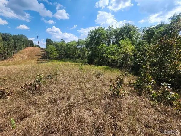 0 M- Old Highway 60, Unincorporated, MO 65717