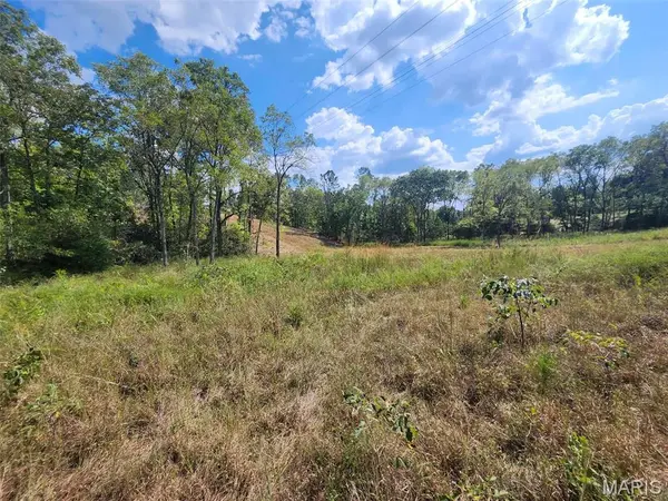 0 M- Old Highway 60, Unincorporated, MO 65717