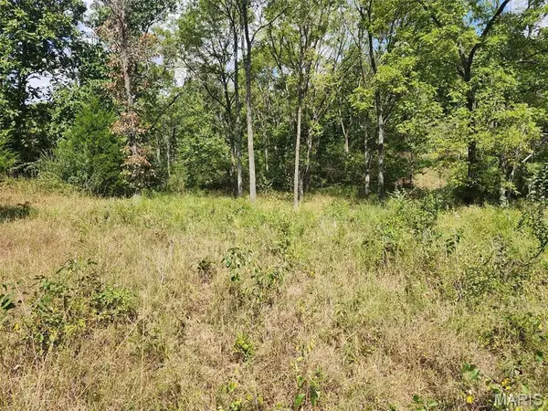 0 M- Old Highway 60, Unincorporated, MO 65717