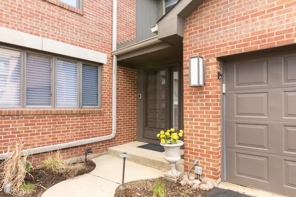 49 Park LN #49, Park Ridge, IL 60068