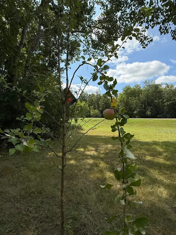 20366 County Road 12, Bovey, MN 55709