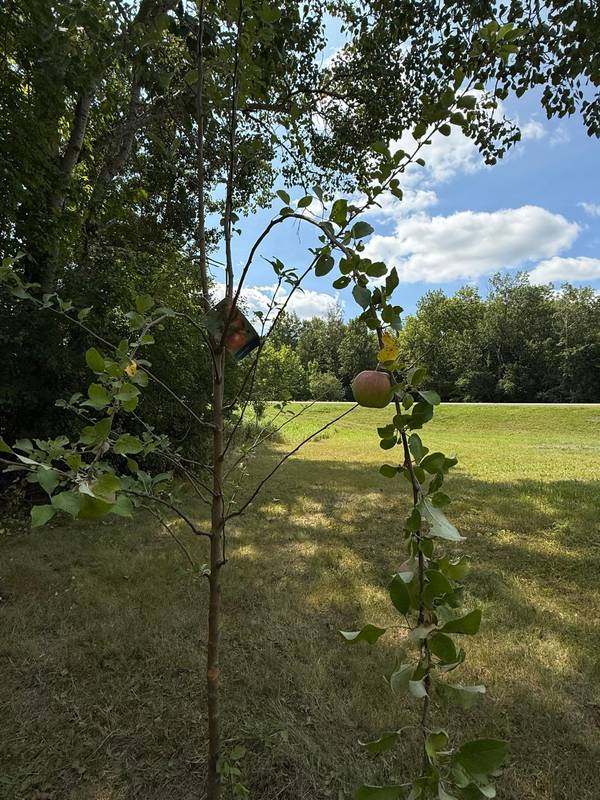 20366 County Road 12, Bovey, MN 55709