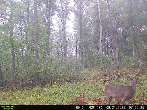 xxx Fleming Logging RD, Hinckley, MN 55037