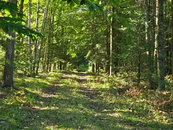 RIVER RD #9, Suring, WI 54174