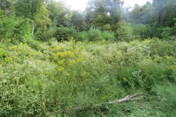 0 Watauga Road, Cookeville, TN 38506