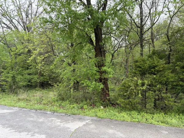 Tract 2 Ivy RD #10903200000018001, Carthage, MO 64836