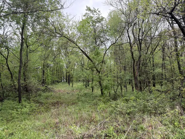 Tract 2 Ivy RD #10903200000018001, Carthage, MO 64836