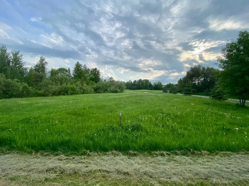 TBD Dogwood DR, Warroad, MN 56763
