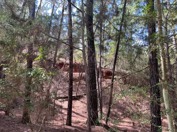 TBD Okoe CT W, Bastrop, TX 78602