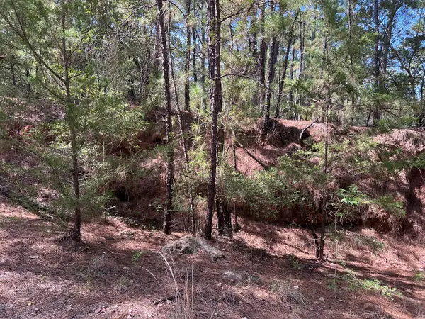 TBD Okoe CT W, Bastrop, TX 78602
