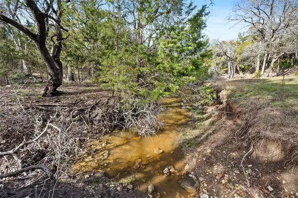 262 Beauchamp RD, Dripping Springs, TX 78620