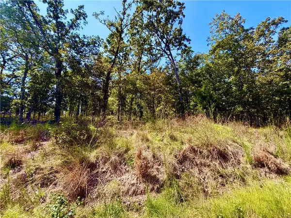 OFF SAINT SAVEUR DR, Edwards, MO 65326