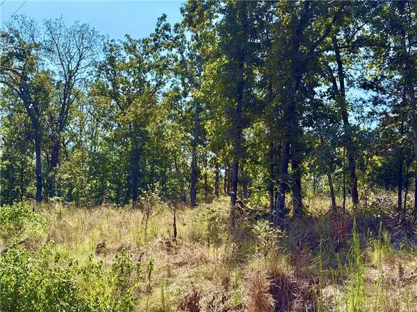 OFF SAINT SAVEUR DR, Edwards, MO 65326