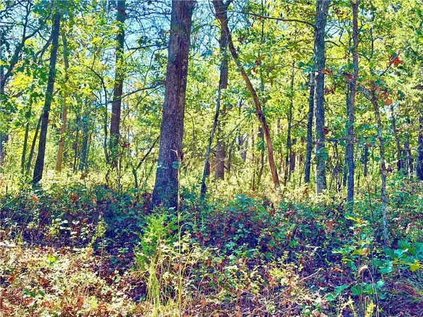 OFF SAINT SAVEUR DR, Edwards, MO 65326