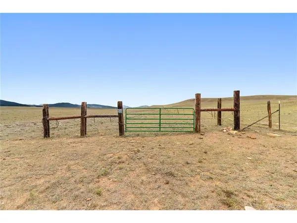 0 CO RD 55, Hartsel, CO 80449