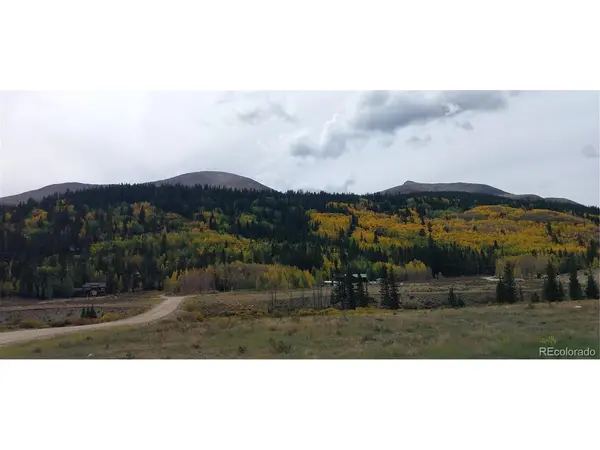1062 Roberts, Alma, CO 80420