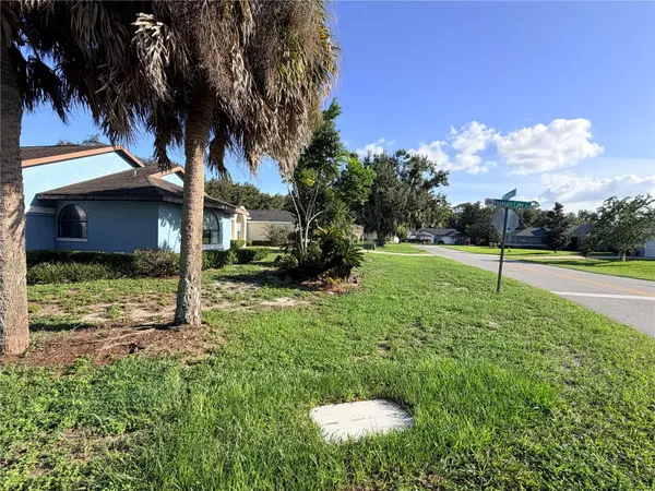 11240 FOUNTAIN LAKE BLVD, Leesburg, FL 34788