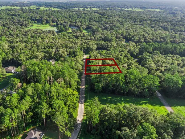 10063 N BAMBOO WAY, Citrus Springs, FL 34434