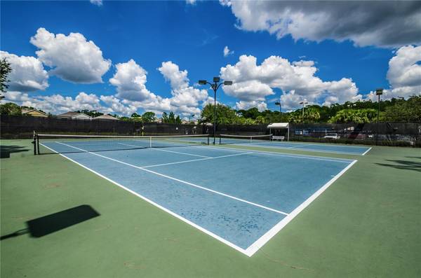 12427 BRISTOL COMMONS CIR, Tampa, FL, 33626 photo 80