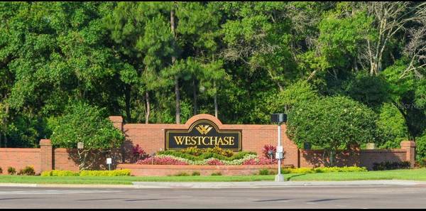 12427 BRISTOL COMMONS CIR, Tampa, FL, 33626 photo 64