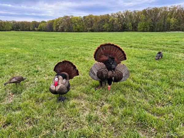 160 Highway N, Stover, MO 65078