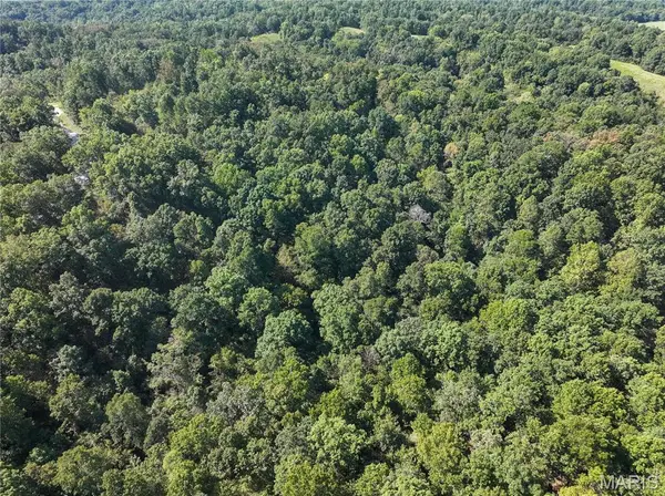 0 Off County Road 535, Jackson, MO 63755
