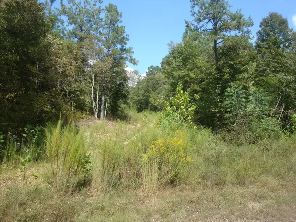 561 Allens Creek Rd, Hohenwald, TN 38462