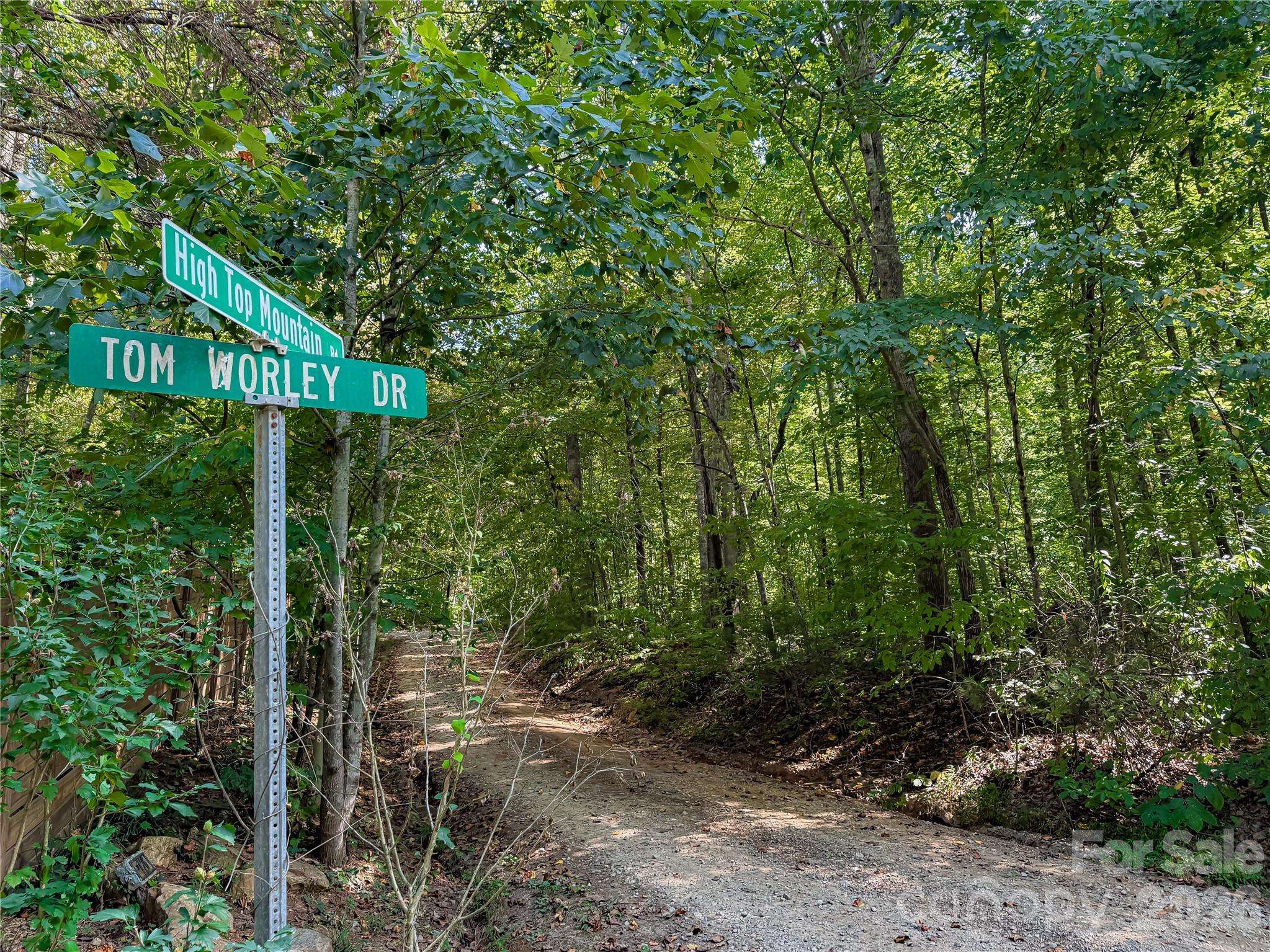 99999 High Top Mountain RD #Lot 1, Leicester, NC 28748