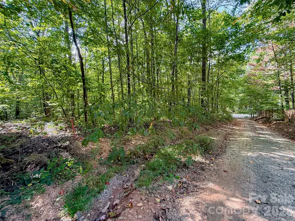 99999 High Top Mountain RD #Lot 3, Leicester, NC 28748