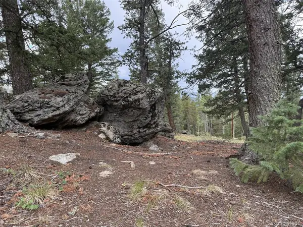 1 Hawk, Black Hawk, CO 80422