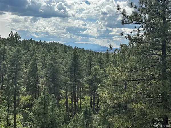 10996 Deerfield, Franktown, CO 80116