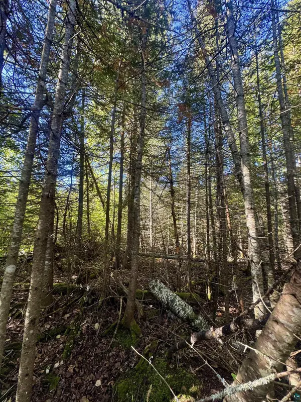 TBD Powers Lake Rd, Hovland, MN 55606