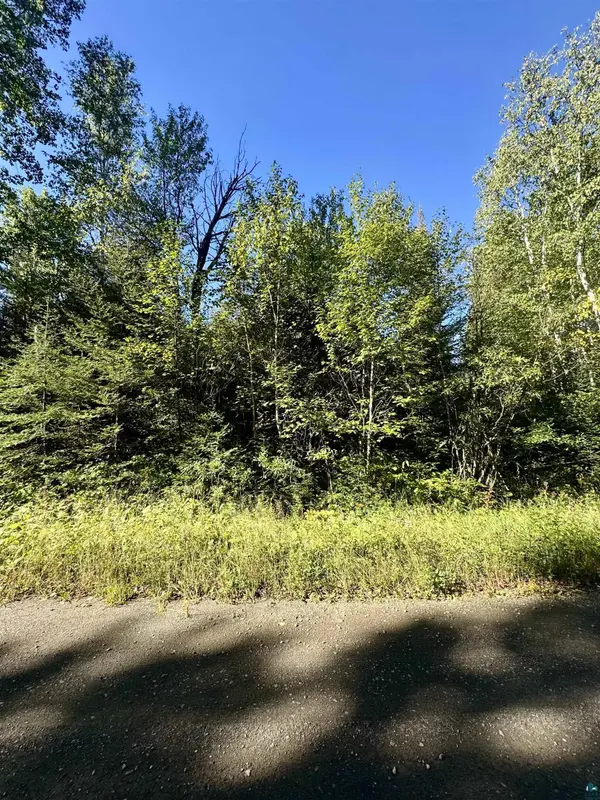 TBD Powers Lake Rd, Hovland, MN 55606