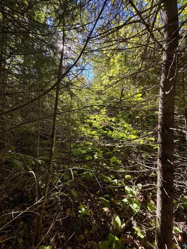 TBD Powers Lake Rd, Hovland, MN 55606